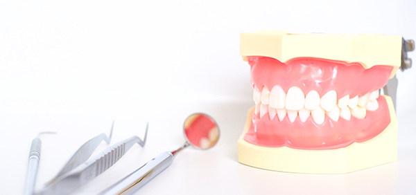 歯周病の予防について